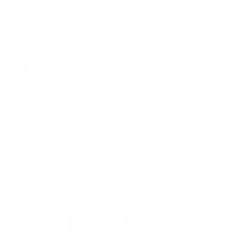 vvs fagmann - logo